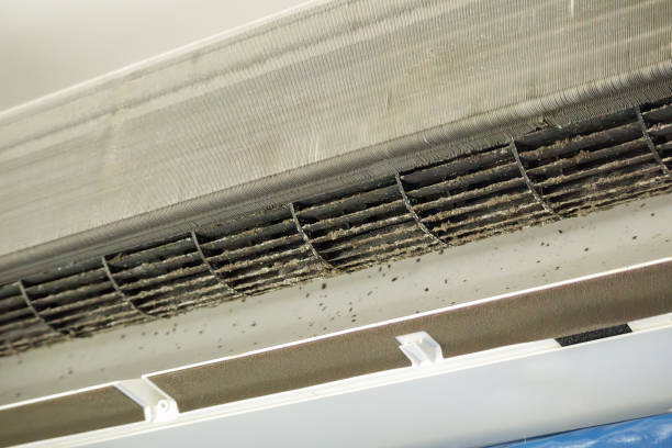 Best HVAC Duct Inspection Services  in Eagle, WI